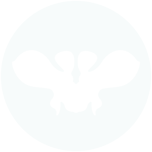 mothlab.com